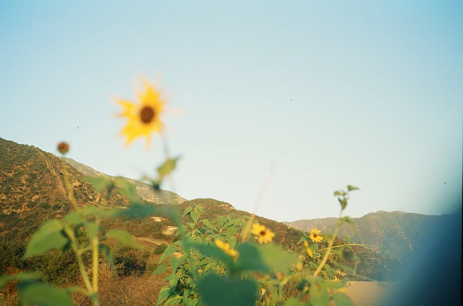 A photograph by wangogh