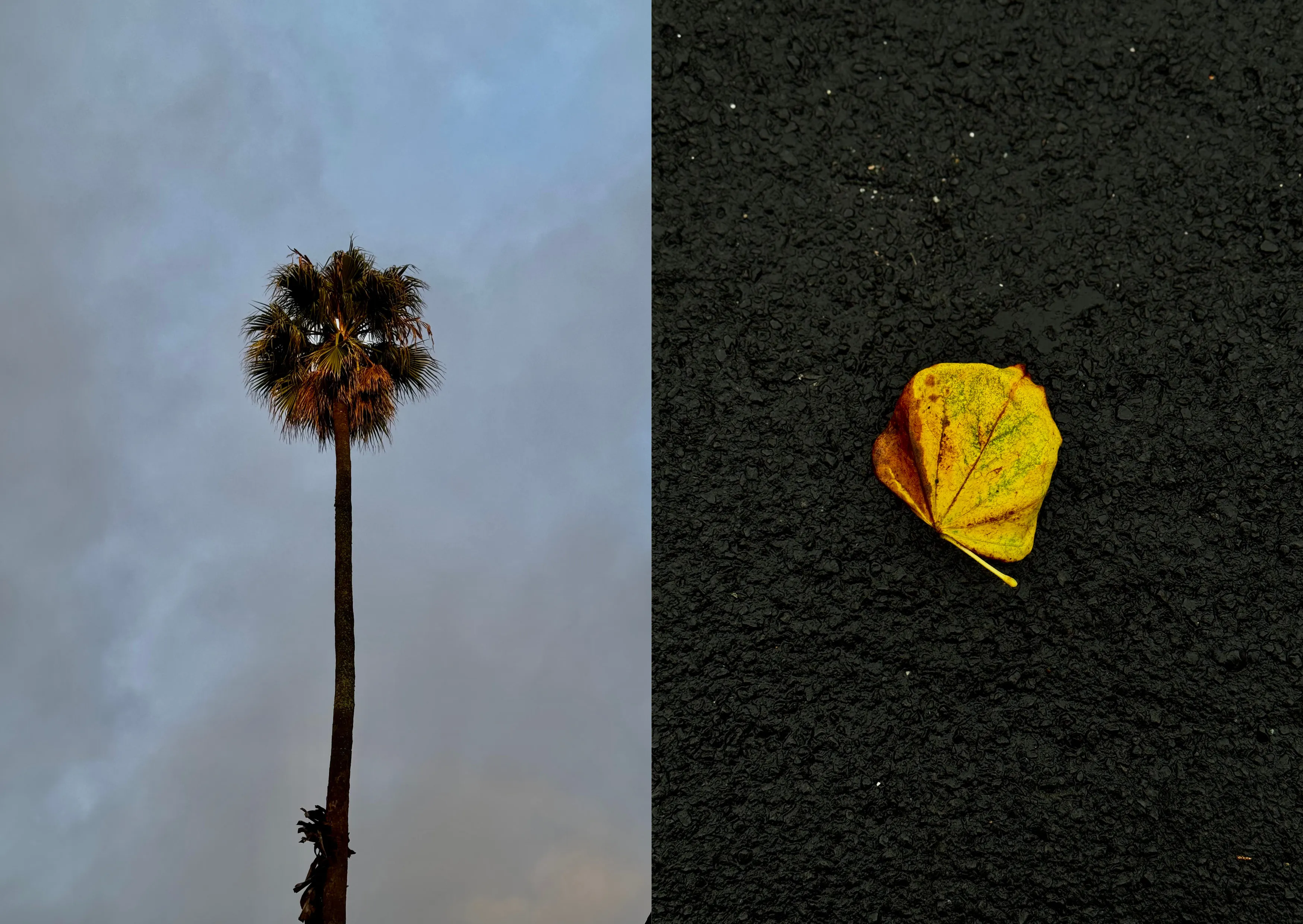 walks after rain spread 1